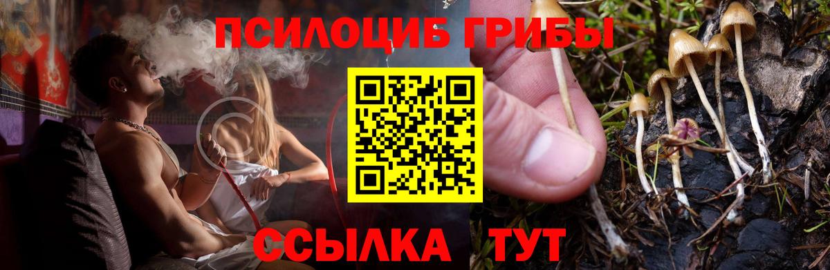 Псилоцибиновые грибы прущие грибы  Вход с VPN  Калуга 